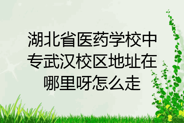 湖北省医药学校中专武汉校区地址在哪里呀怎么走