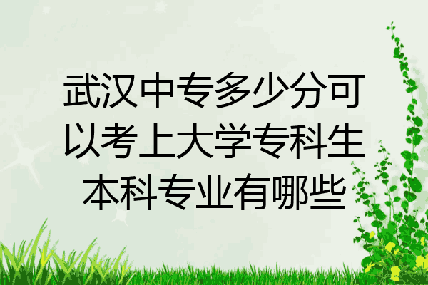 武汉中专多少分可以考上大学专科生本科专业有哪些