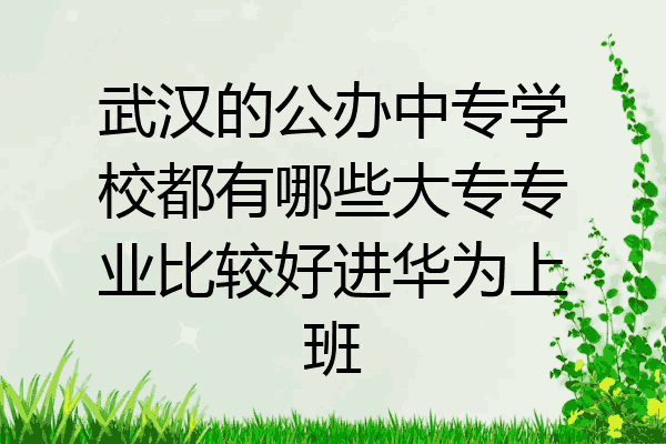 武汉的公办中专学校都有哪些大专专业比较好进华为上班
