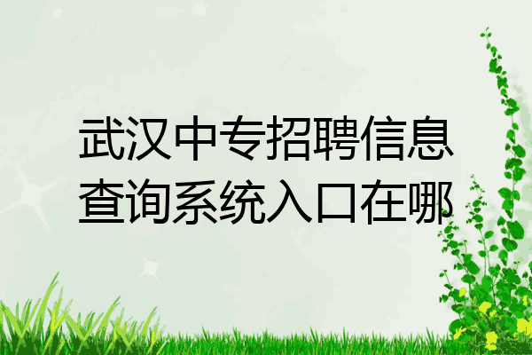 武汉中专招聘信息查询系统入口在哪