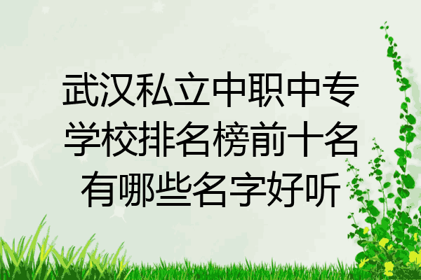 武汉私立中职中专学校排名榜前十名有哪些名字好听