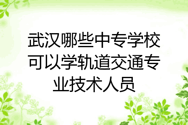 武汉哪些中专学校可以学轨道交通专业技术人员