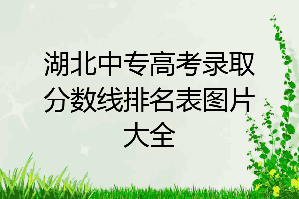 湖北中专高考录取分数线排名表图片大全