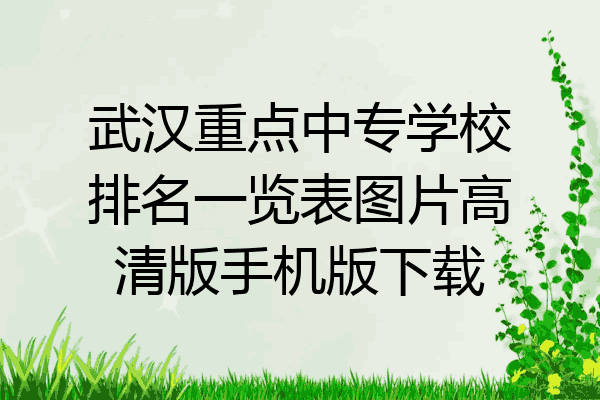 武汉重点中专学校排名一览表图片高清版手机版下载