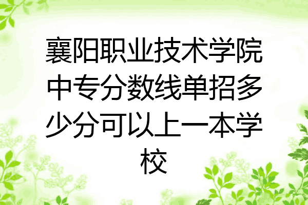 襄阳职业技术学院中专分数线单招多少分可以上一本学校