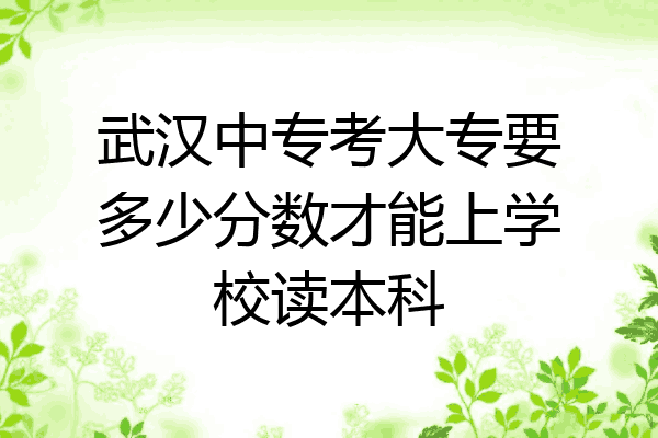 武汉中专考大专要多少分数才能上学校读本科