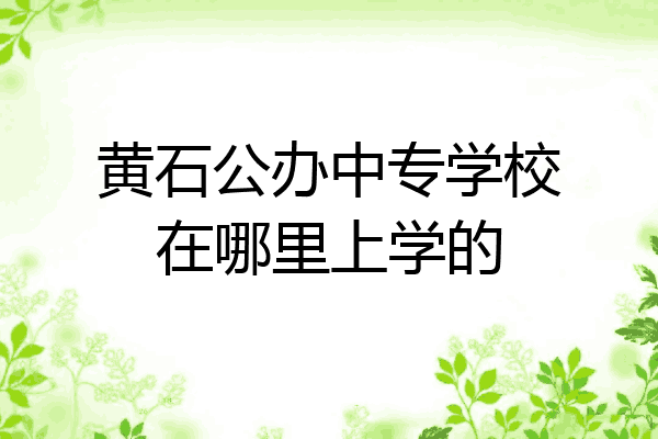 黄石公办中专学校在哪里上学的