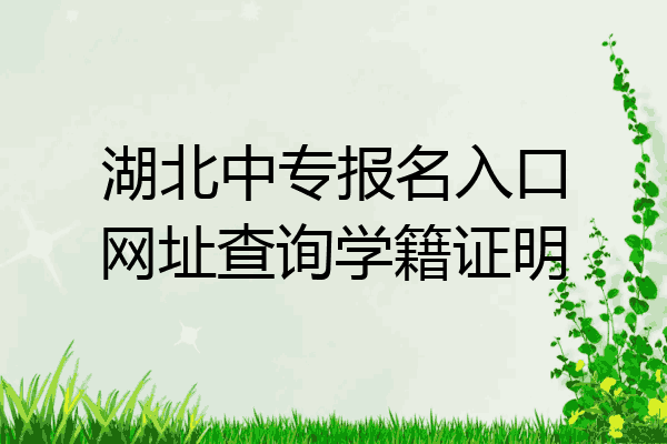 湖北中专报名入口网址查询学籍证明