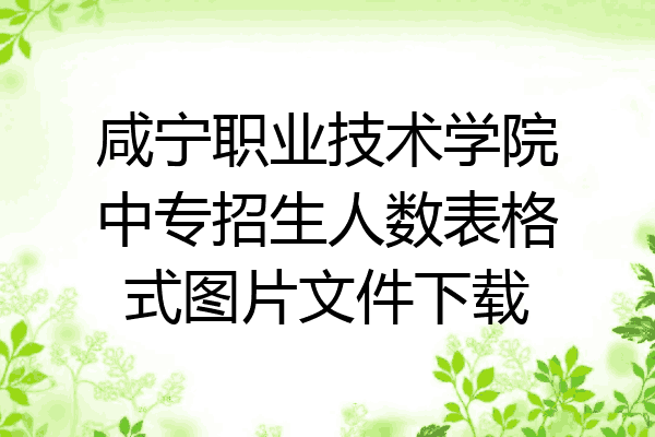 咸宁职业技术学院中专招生人数表格式图片文件下载