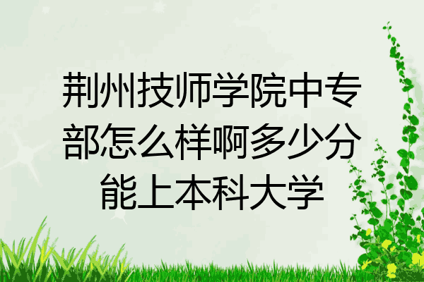 荆州技师学院中专部怎么样啊多少分能上本科大学