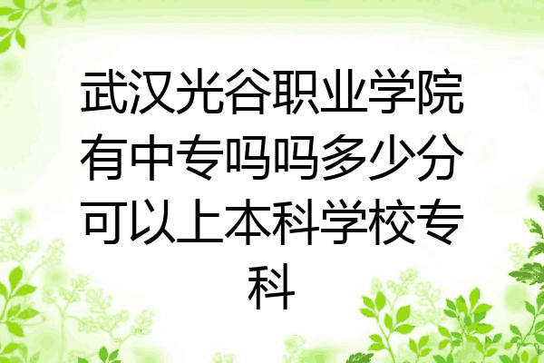 武汉光谷职业学院有中专吗吗多少分可以上本科学校专科