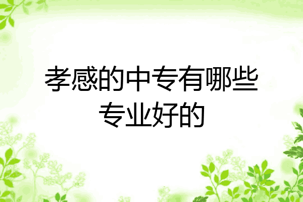 孝感的中专有哪些专业好的