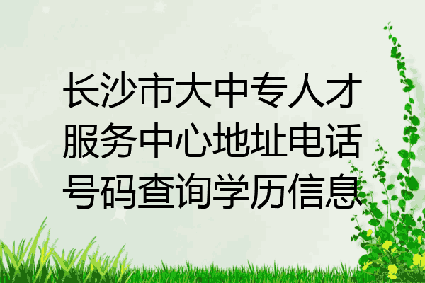 长沙市大中专人才服务中心地址电话号码查询学历信息