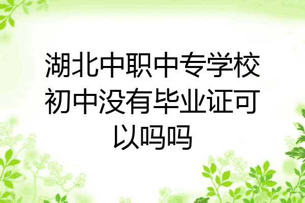 湖北中职中专学校初中没有毕业证可以吗吗