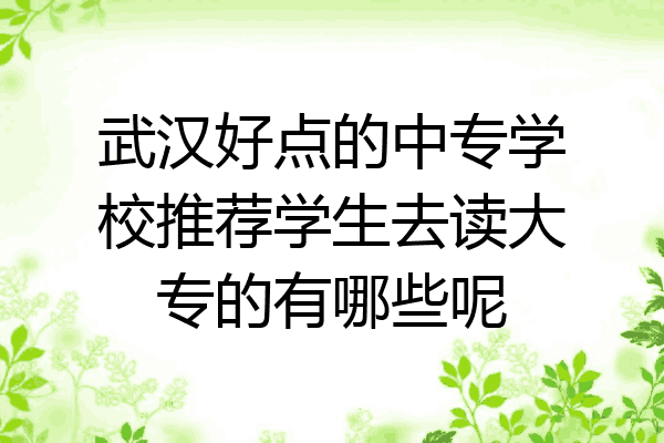 武汉好点的中专学校推荐学生去读大专的有哪些呢