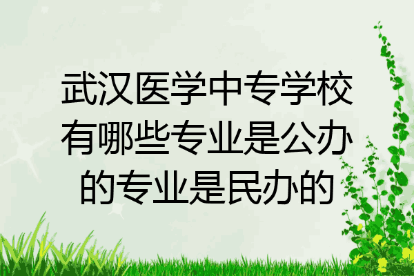 武汉医学中专学校有哪些专业是公办的专业是民办的