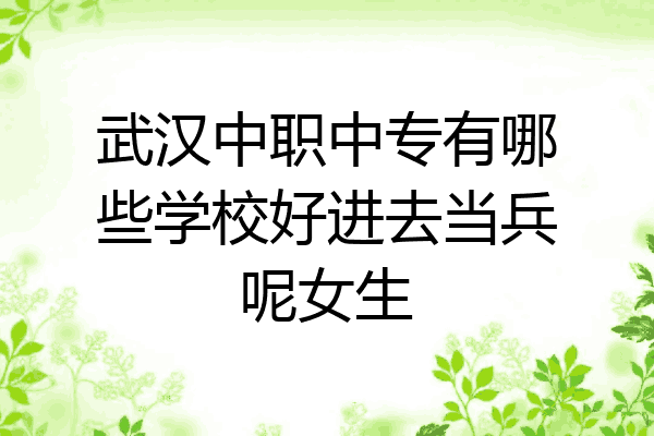 武汉中职中专有哪些学校好进去当兵呢女生