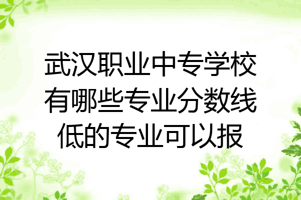 武汉职业中专学校有哪些专业分数线低的专业可以报