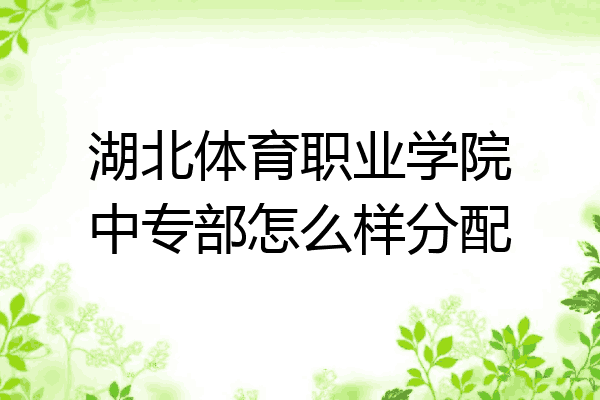 湖北体育职业学院中专部怎么样分配