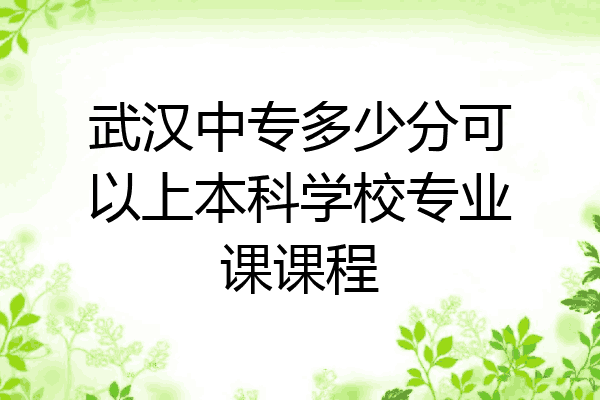 武汉中专多少分可以上本科学校专业课课程