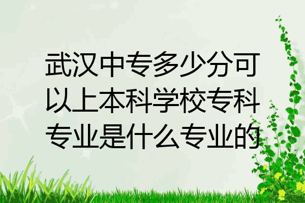 武汉中专多少分可以上本科学校专科专业是什么专业的