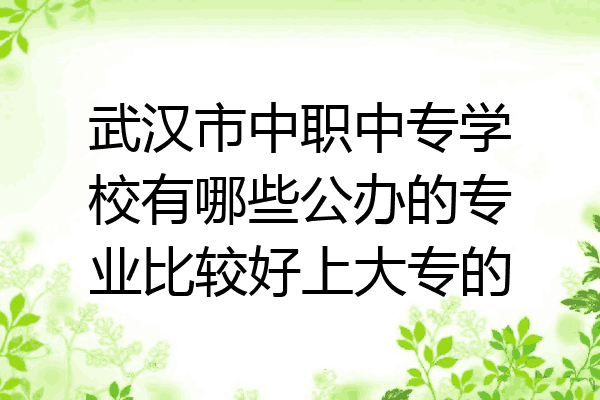 武汉市中职中专学校有哪些公办的专业比较好上大专的