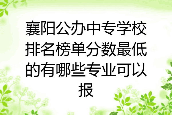 襄阳公办中专学校排名榜单分数最低的有哪些专业可以报