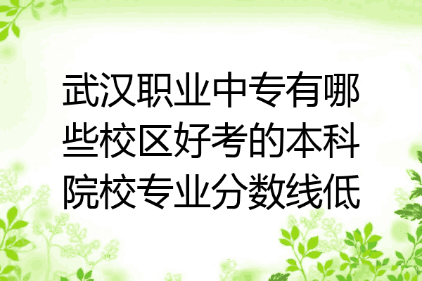武汉职业中专有哪些校区好考的本科院校专业分数线低
