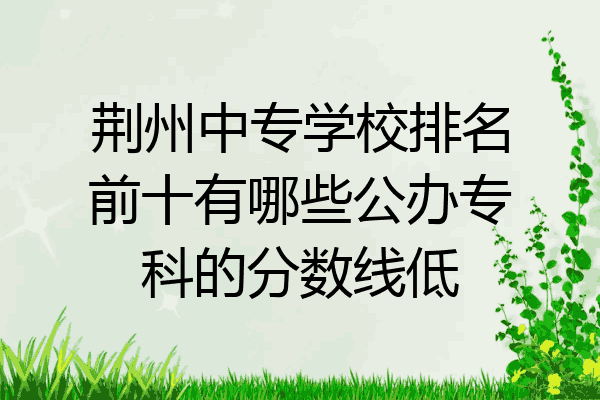 荆州中专学校排名前十有哪些公办专科的分数线低