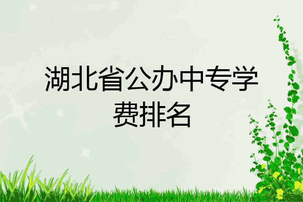 湖北省公办中专学费排名