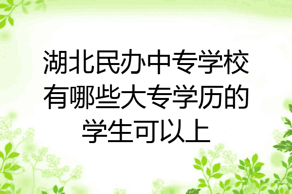 湖北民办中专学校有哪些大专学历的学生可以上