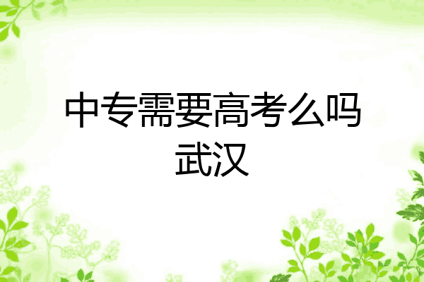 中专需要高考么吗武汉