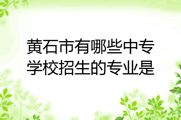 黄石市有哪些中专学校招生的专业是
