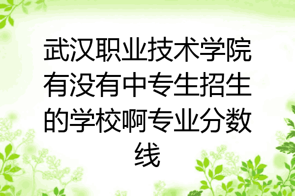 武汉职业技术学院有没有中专生招生的学校啊专业分数线