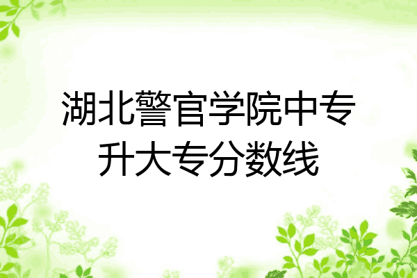 湖北警官学院中专升大专分数线