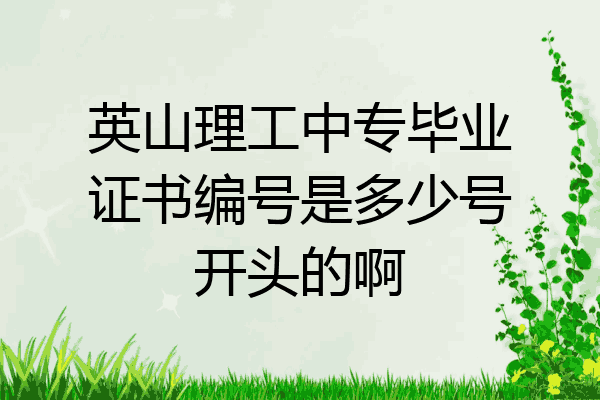 英山理工中专毕业证书编号是多少号开头的啊