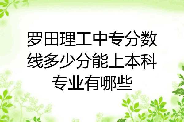 罗田理工中专分数线多少分能上本科专业有哪些