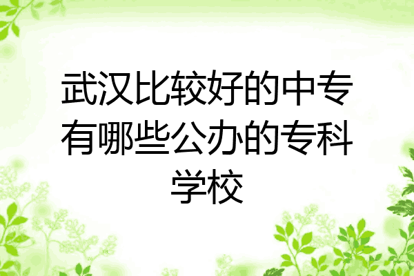 武汉比较好的中专有哪些公办的专科学校