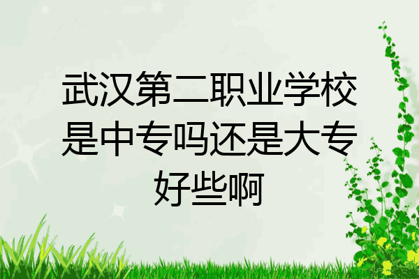 武汉第二职业学校是中专吗还是大专好些啊