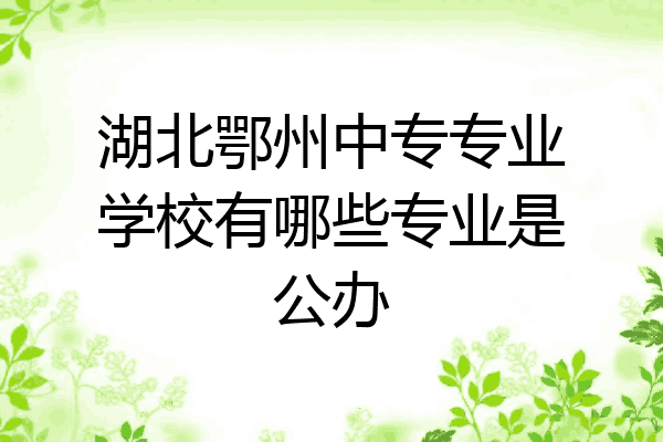 湖北鄂州中专专业学校有哪些专业是公办