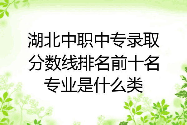 湖北中职中专录取分数线排名前十名专业是什么类