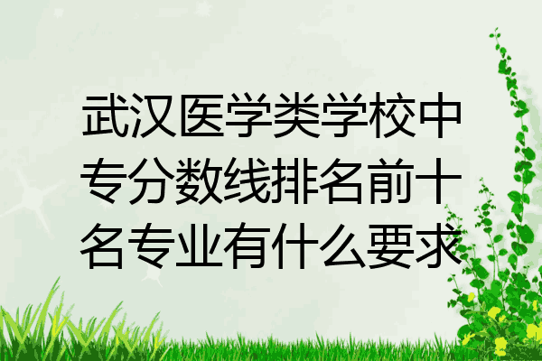 武汉医学类学校中专分数线排名前十名专业有什么要求