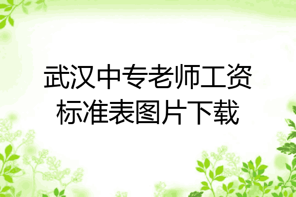 武汉中专老师工资标准表图片下载