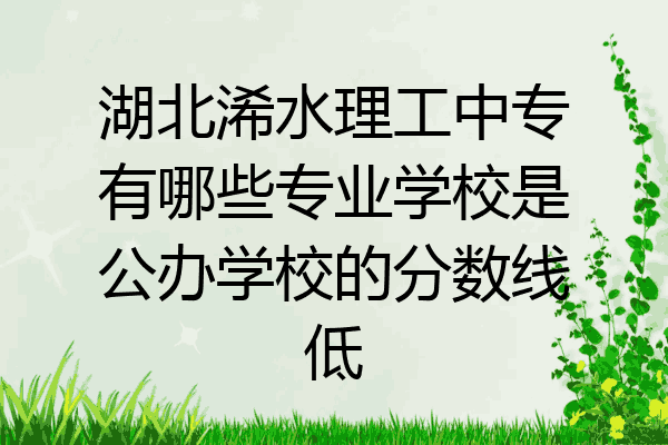 湖北浠水理工中专有哪些专业学校是公办学校的分数线低