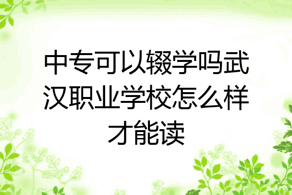 中专可以辍学吗武汉职业学校怎么样才能读