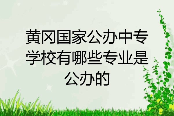 黄冈国家公办中专学校有哪些专业是公办的