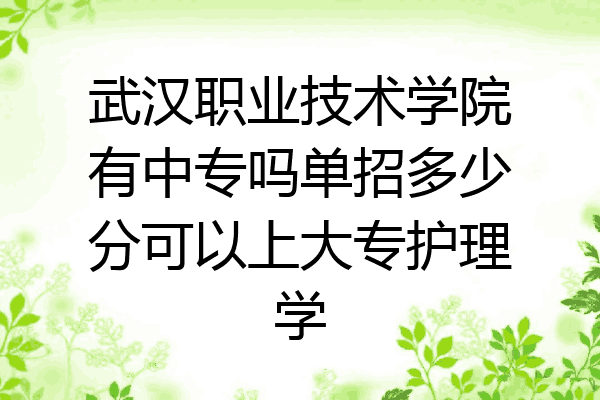 武汉职业技术学院有中专吗单招多少分可以上大专护理学