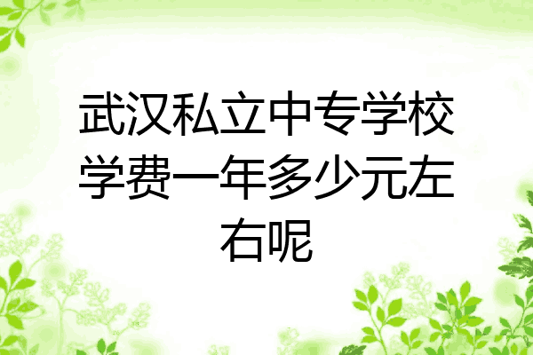 武汉私立中专学校学费一年多少元左右呢