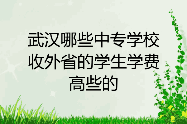 武汉哪些中专学校收外省的学生学费高些的