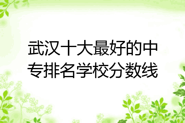 武汉十大最好的中专排名学校分数线